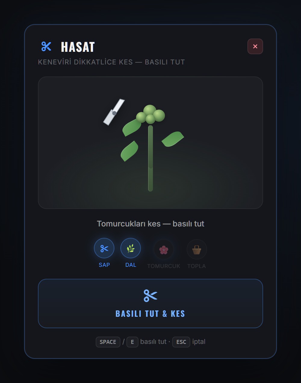 Hasat minigame